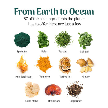 Earth Powder Daily Foundational Nutrition Supplement with 28 Greens & 10 Mushrooms | 87 Nutrients for Energy, Gut Health & Mental Clarity - dailyvitalstore