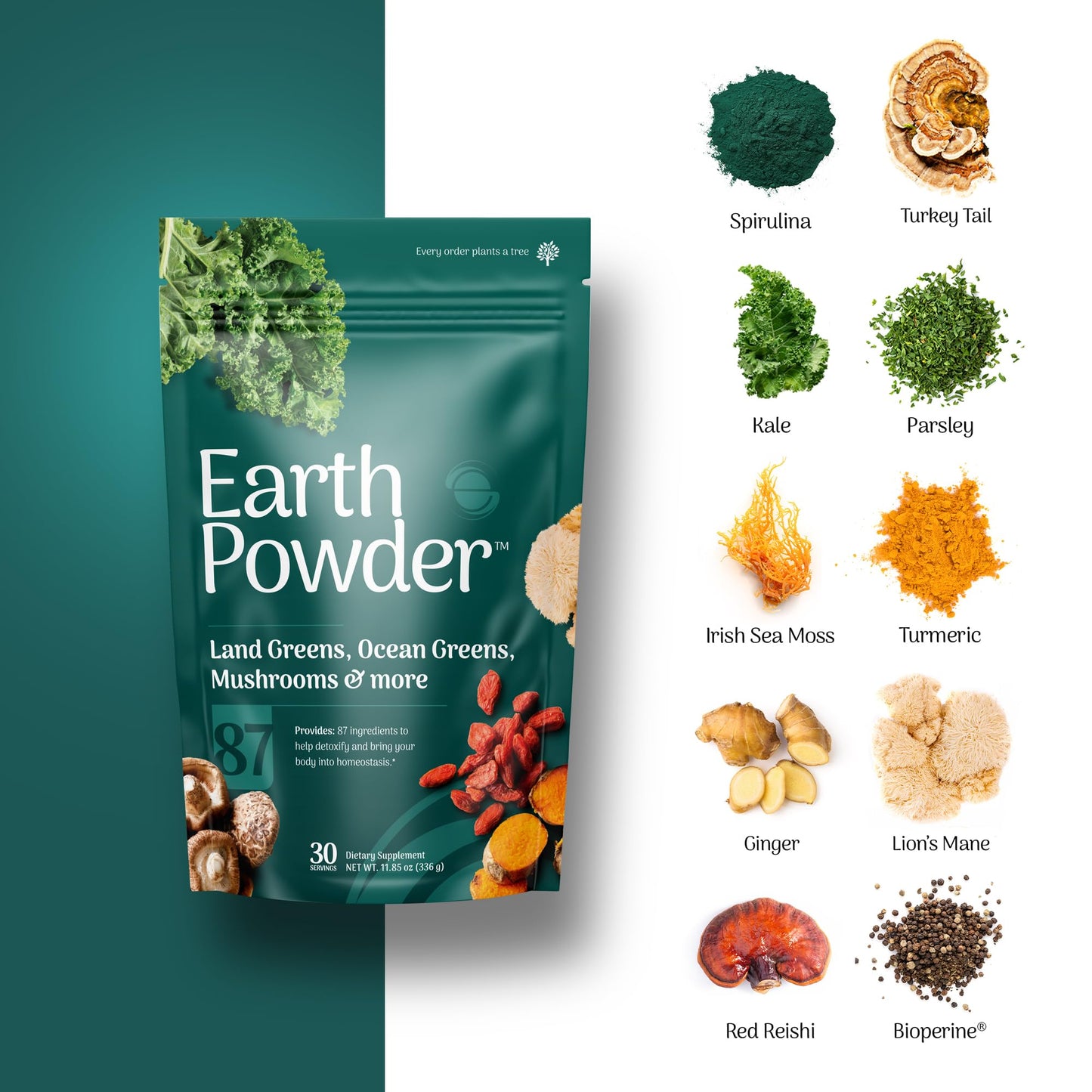 Earth Powder Daily Foundational Nutrition Supplement with 28 Greens & 10 Mushrooms | 87 Nutrients for Energy, Gut Health & Mental Clarity - dailyvitalstore
