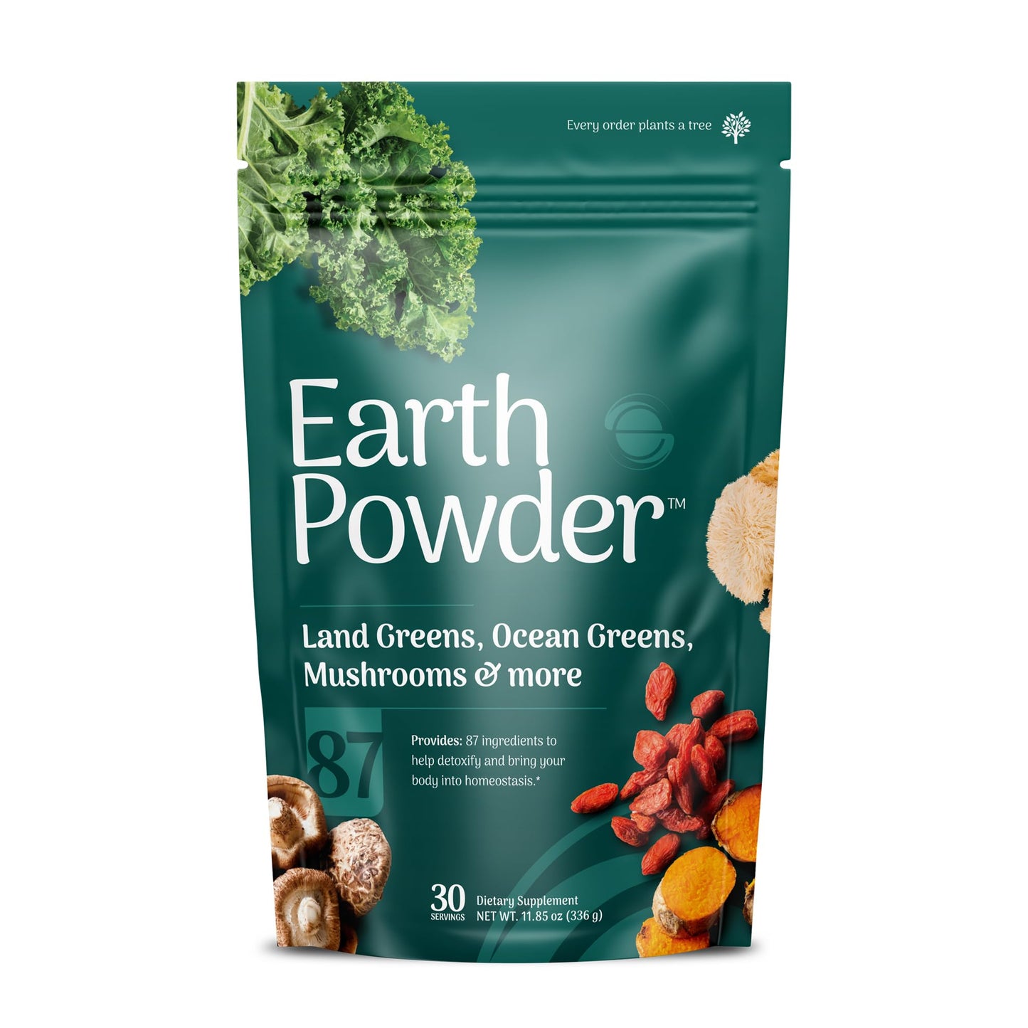 Earth Powder Daily Foundational Nutrition Supplement with 28 Greens & 10 Mushrooms | 87 Nutrients for Energy, Gut Health & Mental Clarity - dailyvitalstore