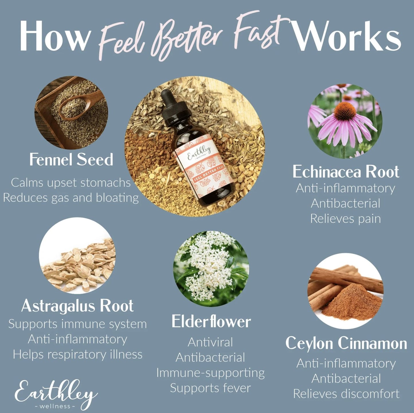 Earthley Wellness Feel Better Fast, All-Natural Relief for Minor Ailments, Organic Herbal Formula, Supports Immune & Digestive Health, Echinacea Root and More - dailyvitalstore