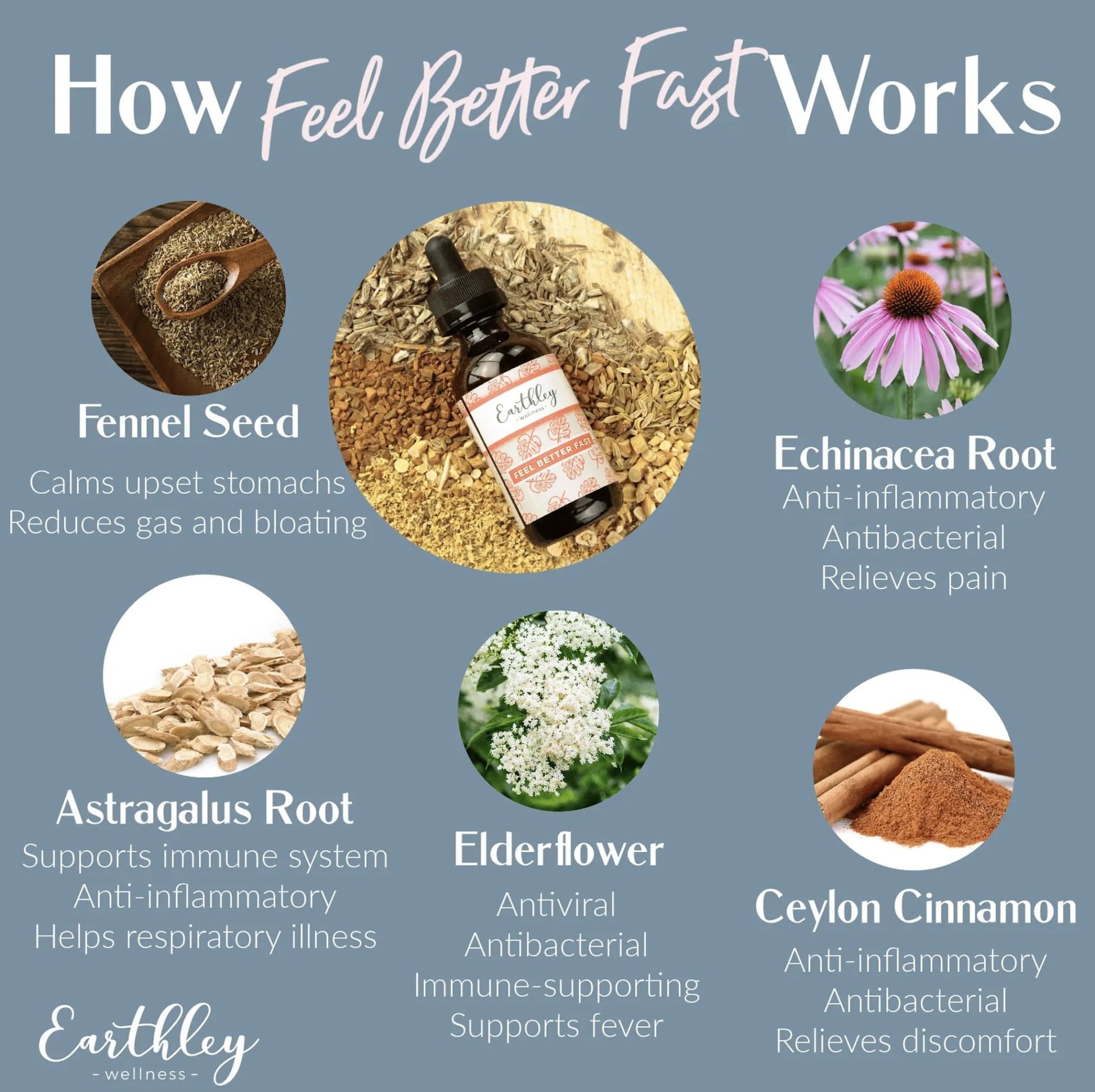 Earthley Wellness Feel Better Fast, All-Natural Relief for Minor Ailments, Organic Herbal Formula, Supports Immune & Digestive Health, Echinacea Root and More - dailyvitalstore