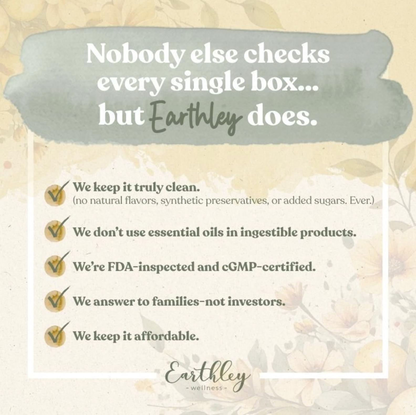 Earthley Wellness Feel Better Fast, All-Natural Relief for Minor Ailments, Organic Herbal Formula, Supports Immune & Digestive Health, Echinacea Root and More - dailyvitalstore