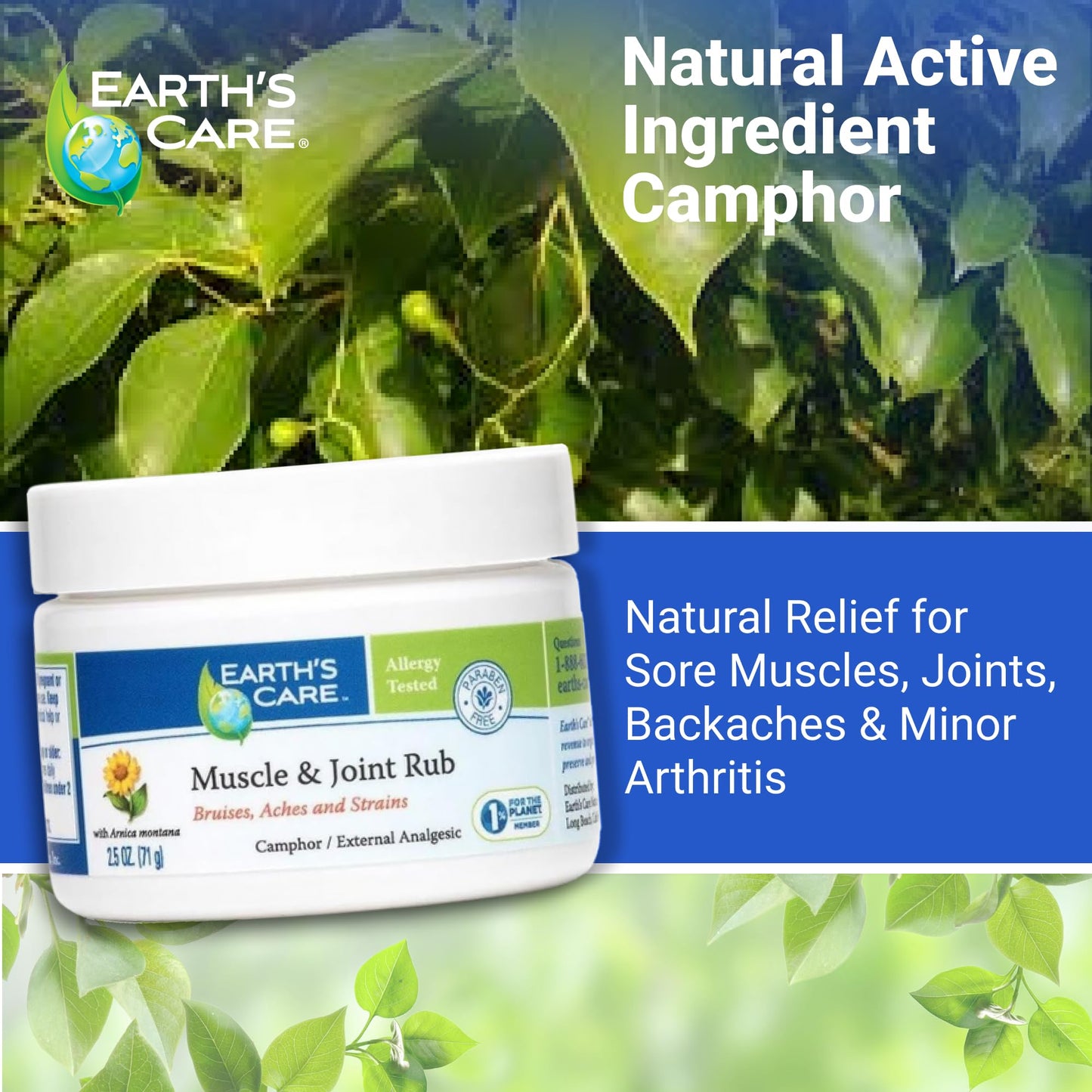 Earth's Care Muscle & Joint Rub - for Sore Muscles, Bruises, Aches and Strains - 2.5 OZ. - dailyvitalstore