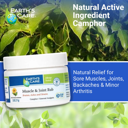 Earth's Care Muscle & Joint Rub - for Sore Muscles, Bruises, Aches and Strains - 2.5 OZ. - dailyvitalstore