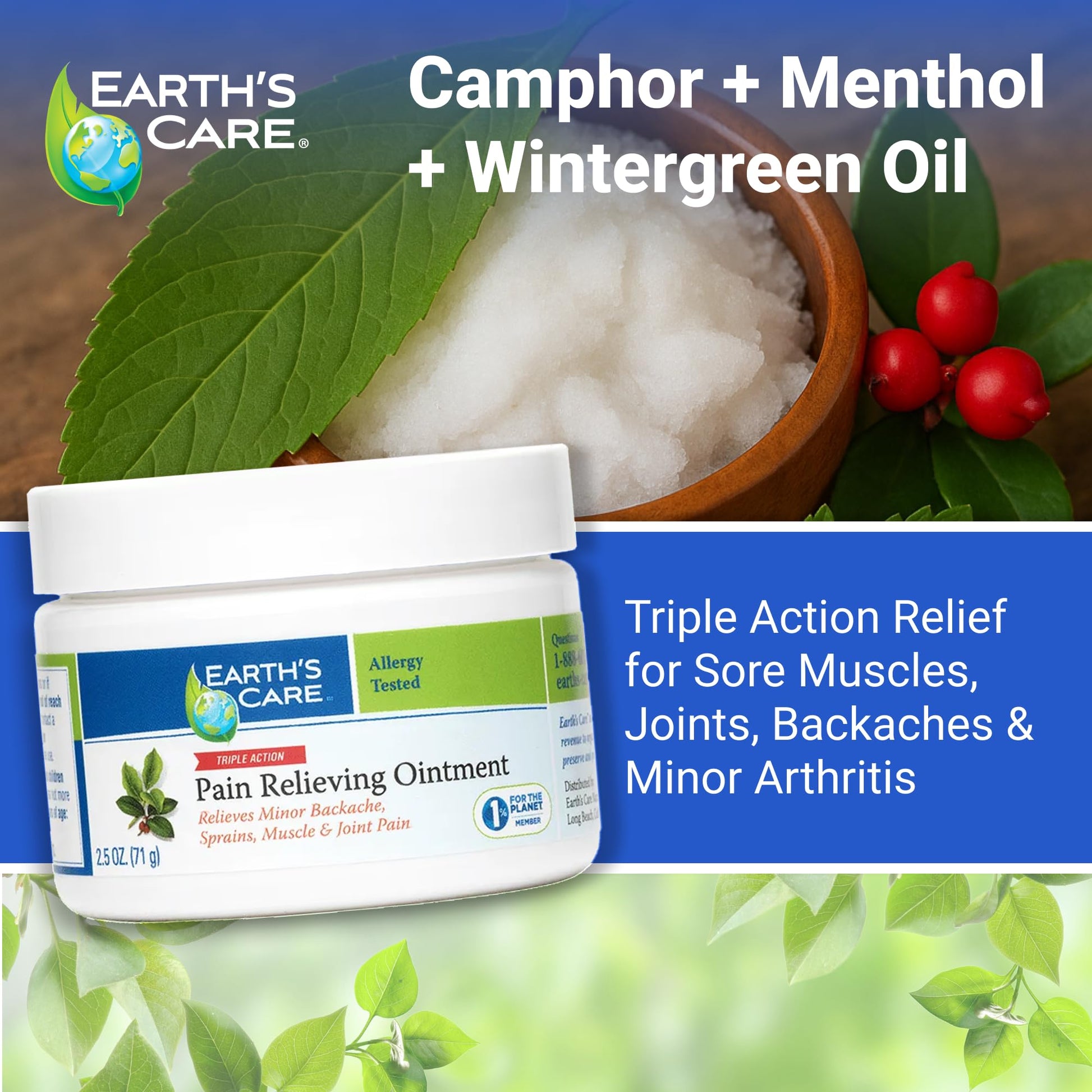 Earth's Care Pain Relieving Ointment - Triple Action Muscle and Joint Pain Relief Cream - Topical Analgesic 2.5 oz (3 Jars) - dailyvitalstore