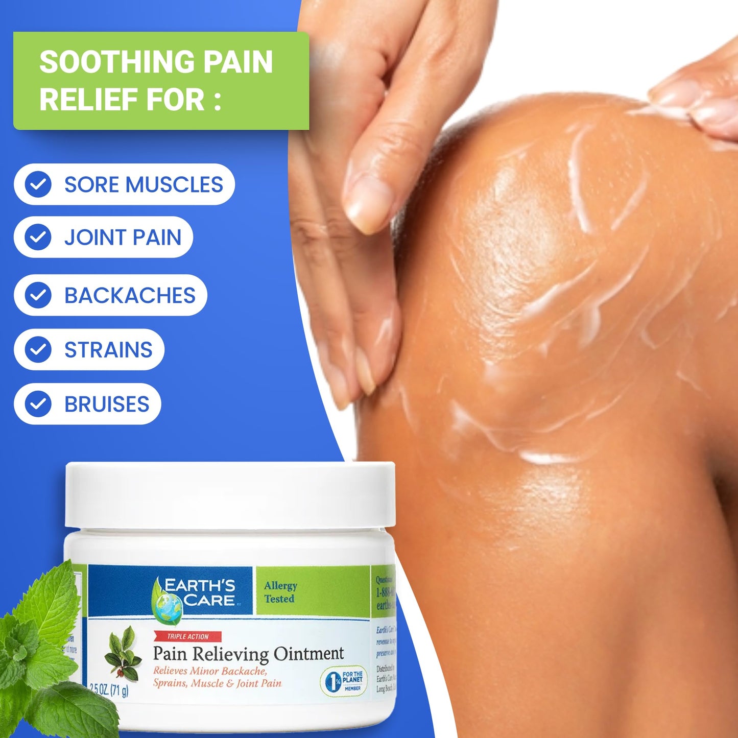 Earth's Care Triple Action Pain Relieving Ointment, No Parabens, Colors or Fragrances, Allergy-Tested 2.5 OZ. (2 Jars) - dailyvitalstore