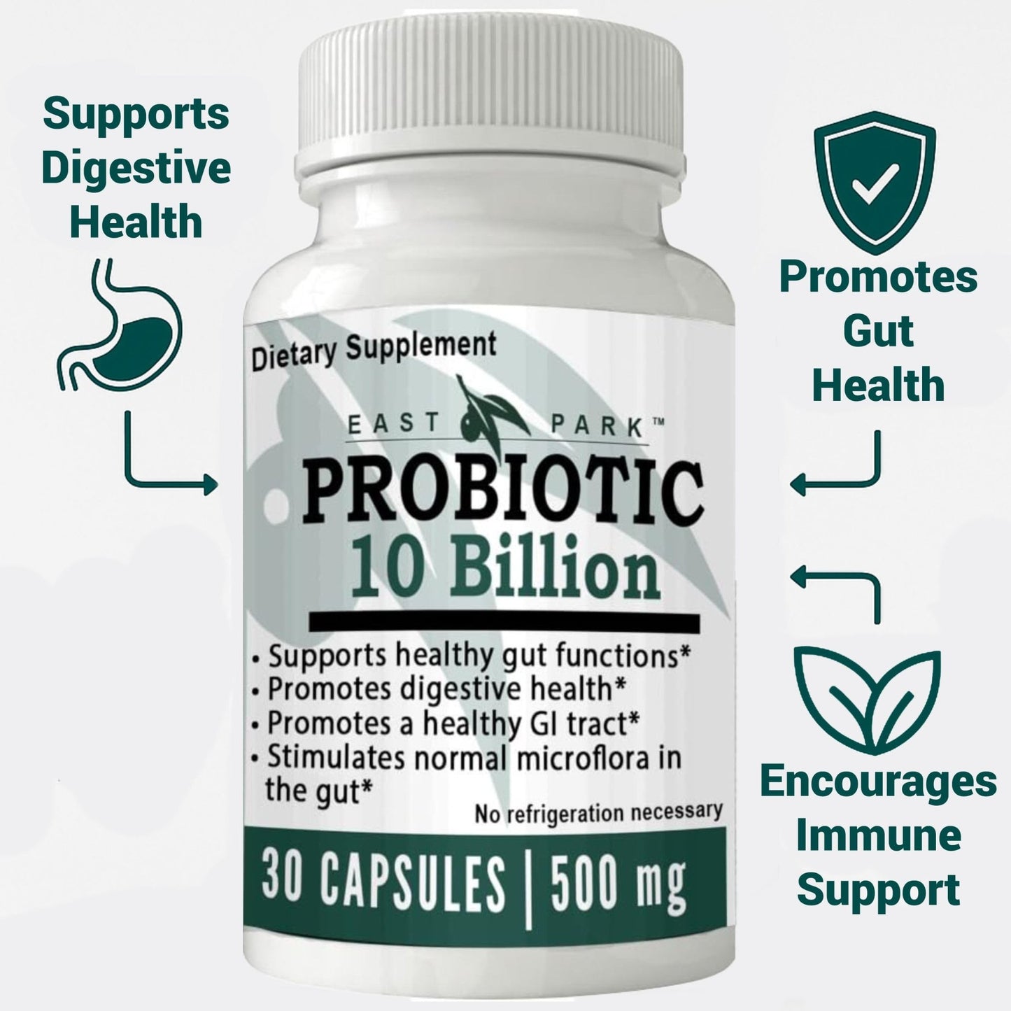 East Park Research d-Lenolate Probiotic Supplement | Probiotic 10 Billion CFUs Supports Gut & Digestive Health | Dietary Supplement Probiotics - dailyvitalstore
