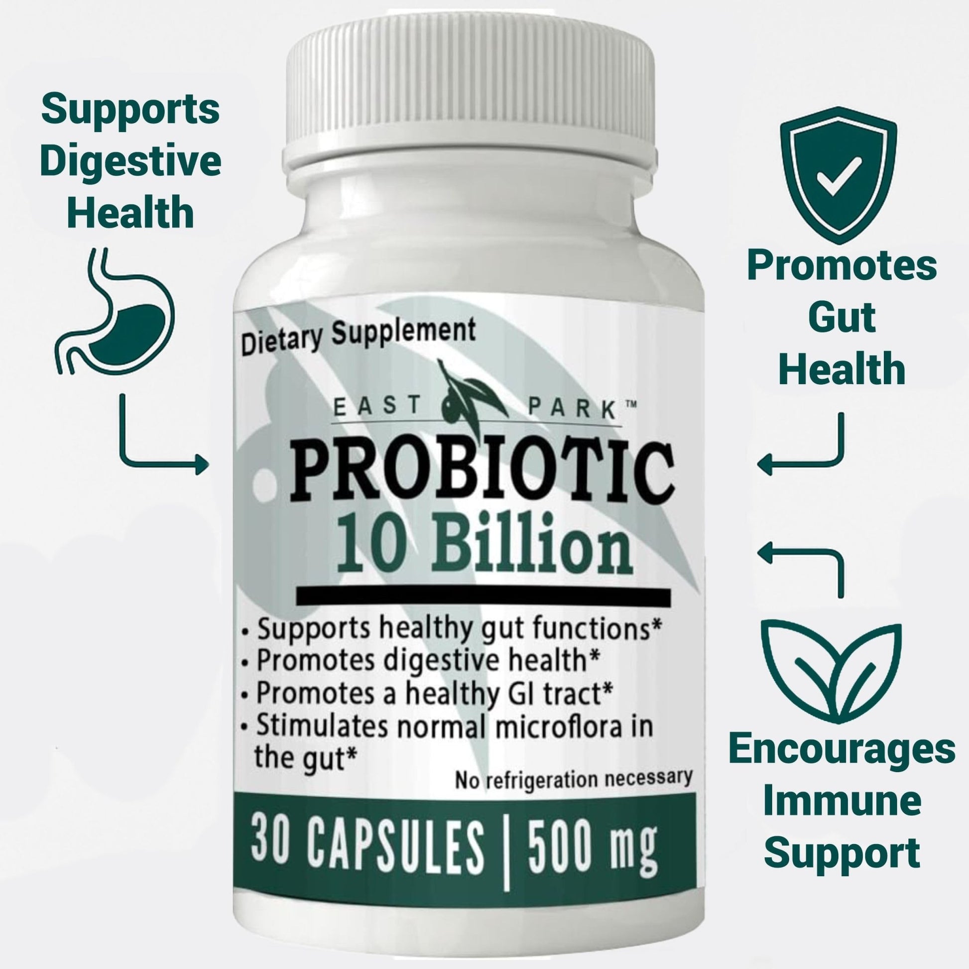 East Park Research d-Lenolate Probiotic Supplement | Probiotic 10 Billion CFUs Supports Gut & Digestive Health | Dietary Supplement Probiotics - dailyvitalstore