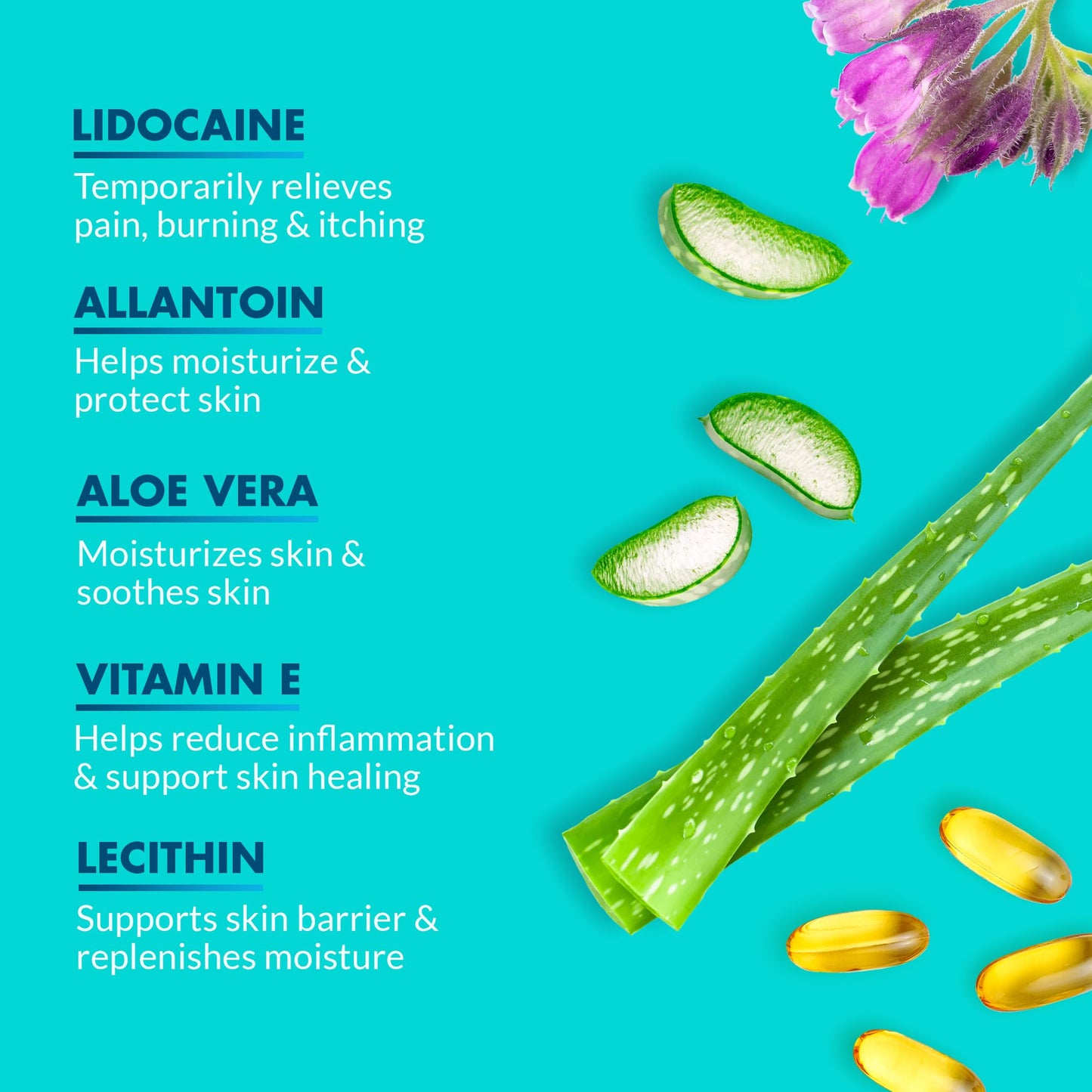 Ebanel 5% Lidocaine Numbing Cream, Pain Relief Burn Itch Numb Cream, Maximum Strength Topical Anesthetic with Allantoin, Vitamin E for Local and Anorectal Uses, Hemorrhoid Treatment, 1.35 Oz - dailyvitalstore