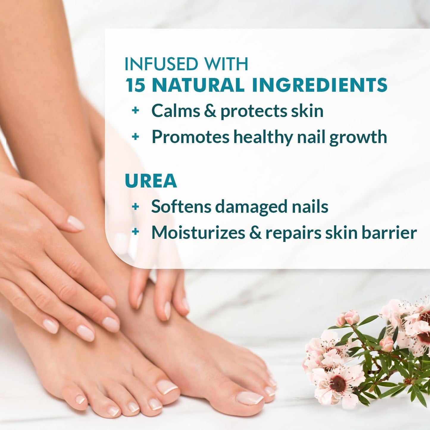 Ebanel Antifungal Cream Miconazole Athletes Foot Treatment, Cures Fungal Infection Leading to Nail Fungus, Jock Itch Cream with Undecylenic Acid, Tea Tree & Manuka Oil, Fast Itch Relief for Ringworm - dailyvitalstore