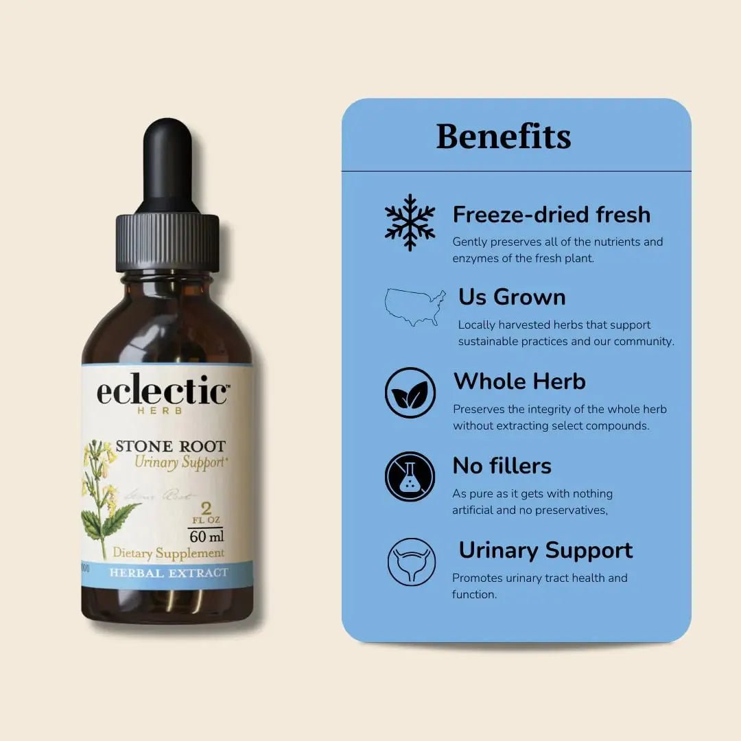 Eclectic Institute Stone Root O 2 Ounce - dailyvitalstore