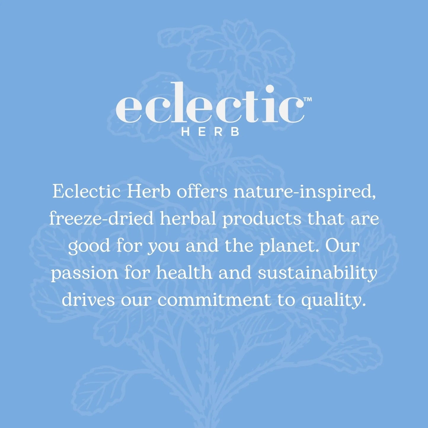 Eclectic Institute Stone Root O 2 Ounce - dailyvitalstore
