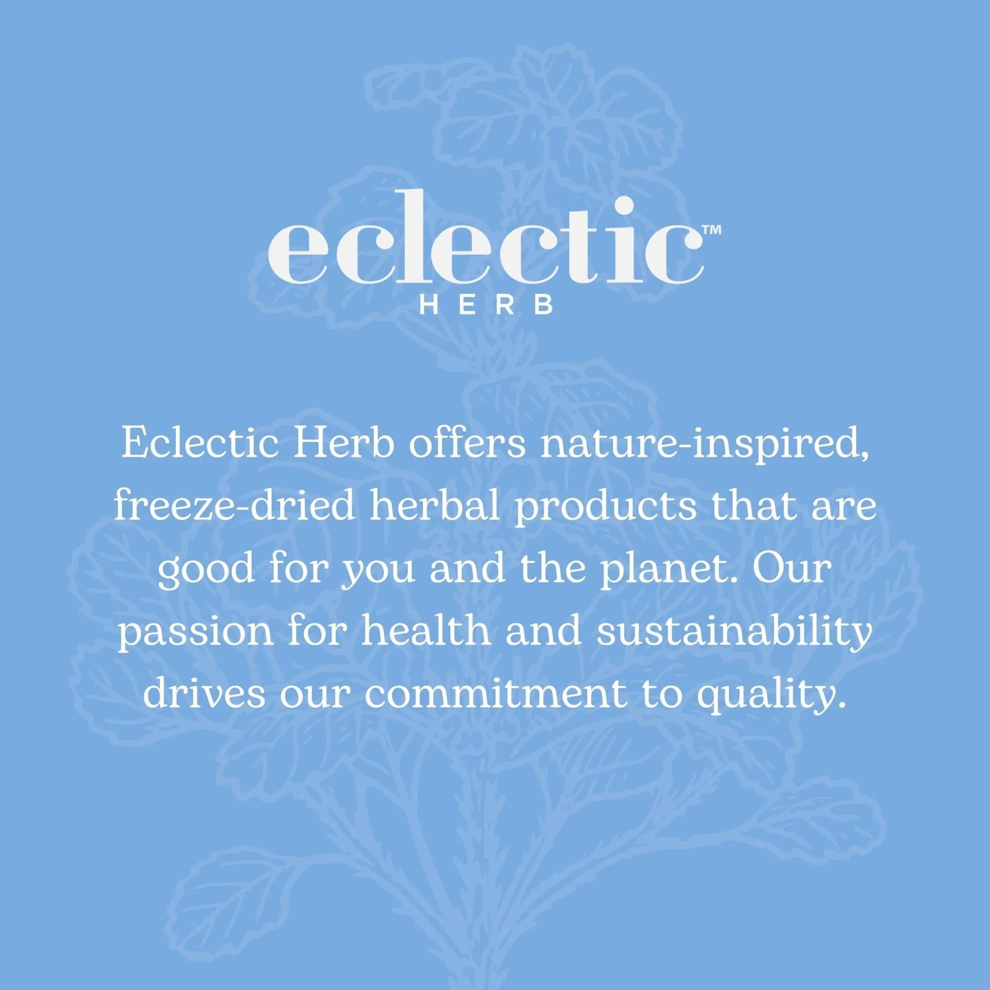 Eclectic Institute Stone Root O 2 Ounce - dailyvitalstore