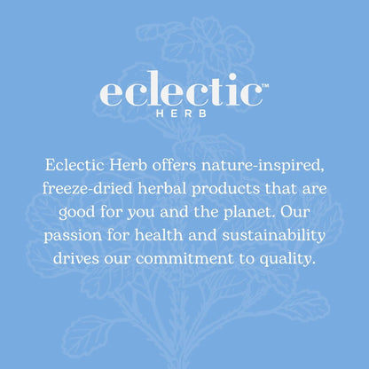 Eclectic Institute Stone Root O 2 Ounce - dailyvitalstore