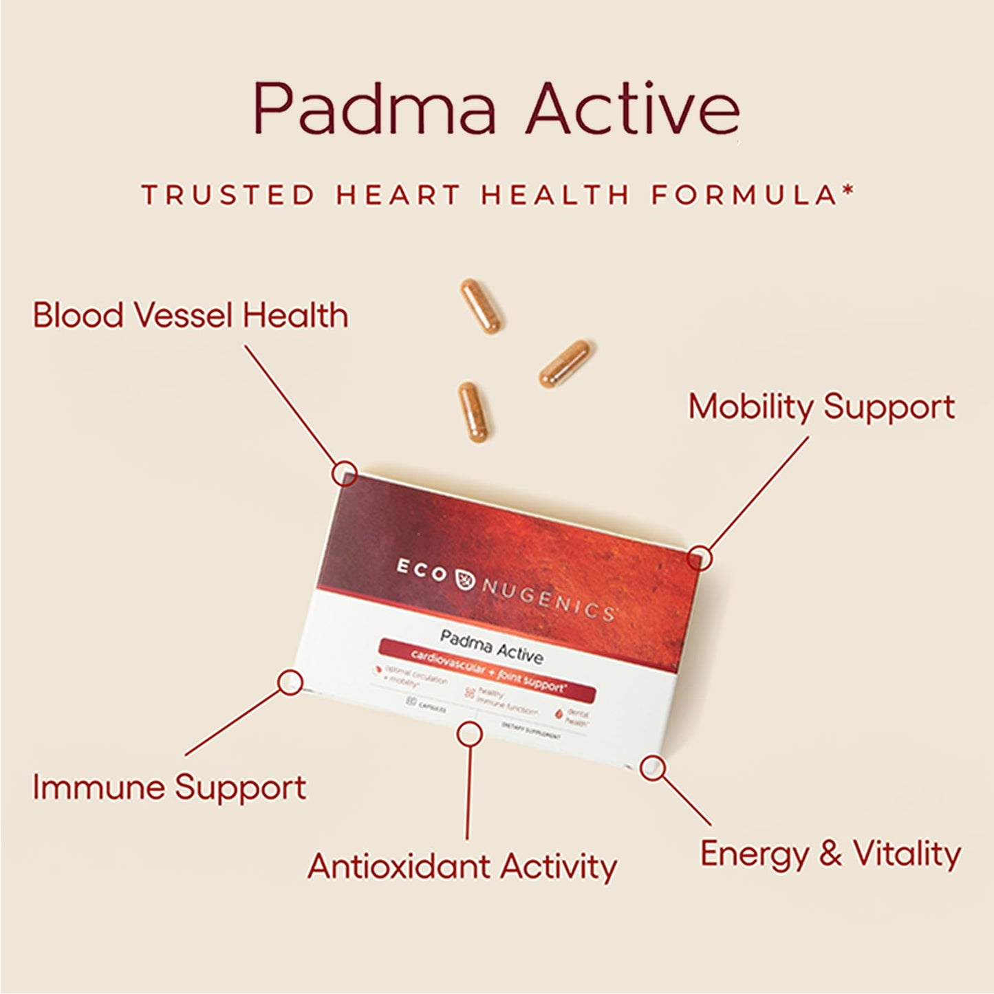 EcoNugenics Padma Active for Women & Men: Vitamin C Supplement for Collagen Formation, Energy Levels, and Immune System, Cellular & Antioxidant Support – Tibetan Recipe of Natural Herbs & Minerals - dailyvitalstore