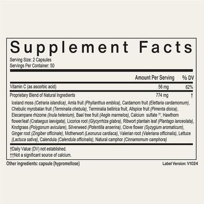 EcoNugenics Padma Active for Women & Men: Vitamin C Supplement for Collagen Formation, Energy Levels, and Immune System, Cellular & Antioxidant Support – Tibetan Recipe of Natural Herbs & Minerals - dailyvitalstore