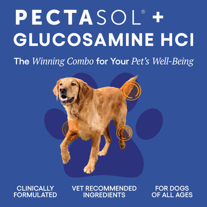ecoNugenics PectaPaws Chewable Dog Supplements – Beef Flavor, 90 Count – PectaSol Modified Citrus Pectin + Glucosamine HCI for Dogs of All Ages, Supports Mobility, Joints, Immune Function, Pain Relief - dailyvitalstore