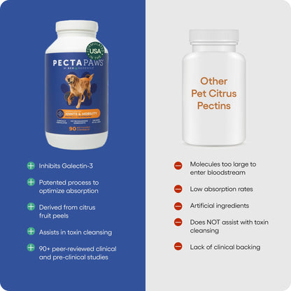 ecoNugenics PectaPaws Chewable Dog Supplements – Beef Flavor, 90 Count – PectaSol Modified Citrus Pectin + Glucosamine HCI for Dogs of All Ages, Supports Mobility, Joints, Immune Function, Pain Relief - dailyvitalstore
