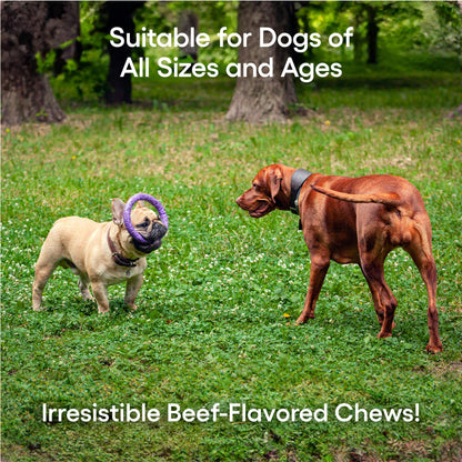 ecoNugenics PectaPaws Chewable Dog Supplements – Beef Flavor, 90 Count – PectaSol Modified Citrus Pectin + Glucosamine HCI for Dogs of All Ages, Supports Mobility, Joints, Immune Function, Pain Relief - dailyvitalstore