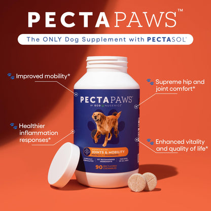 ecoNugenics PectaPaws Chewable Dog Supplements – Beef Flavor, 90 Count – PectaSol Modified Citrus Pectin + Glucosamine HCI for Dogs of All Ages, Supports Mobility, Joints, Immune Function, Pain Relief - dailyvitalstore