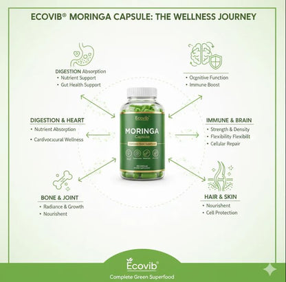 ECOVIB Moringa Capsules – 180 Vegan Capsules | Organic Superfood for Energy, Immunity & Detox - dailyvitalstore