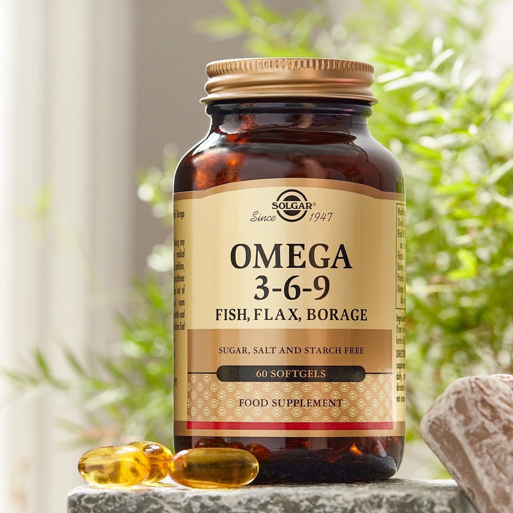 EFA 1300mg Omega 3-6-9 Solgar 60 Softgel - dailyvitalstore