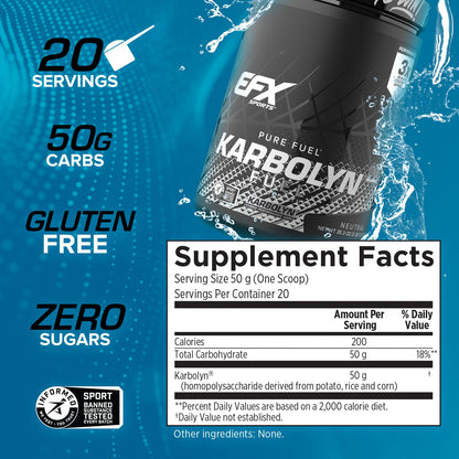 EFX Sports Karbolyn Fuel | Fast-Absorbing Carbohydrate Powder | Carb Load, Sustained Energy, Quick Recovery | Stimulant Free | 20 Servings (Neutral) - dailyvitalstore