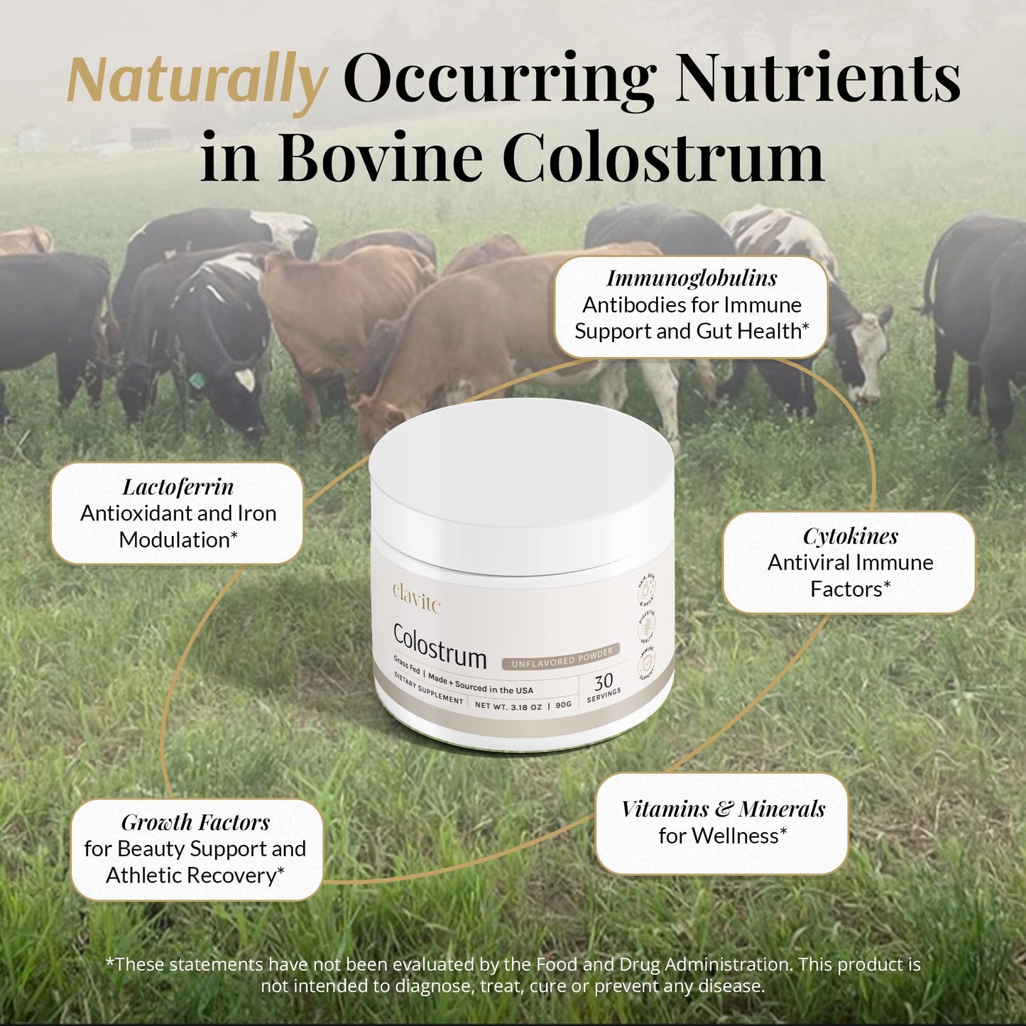 Elavite Bovine Colostrum Powder (Unflavored) Grass Fed Colostrum Supplement for Gut Health, Immune Support Healthy Hair, Skin & Nails - 30 Servings - dailyvitalstore