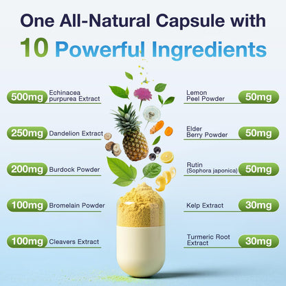 ELERULE Lymphatic Support Supplement, Lymphatic Drainage Supplements with with Dandelion, Burdock, Echinacea, Lemon & More, Lymph System Support for Men and Women – 60 Capsules - dailyvitalstore
