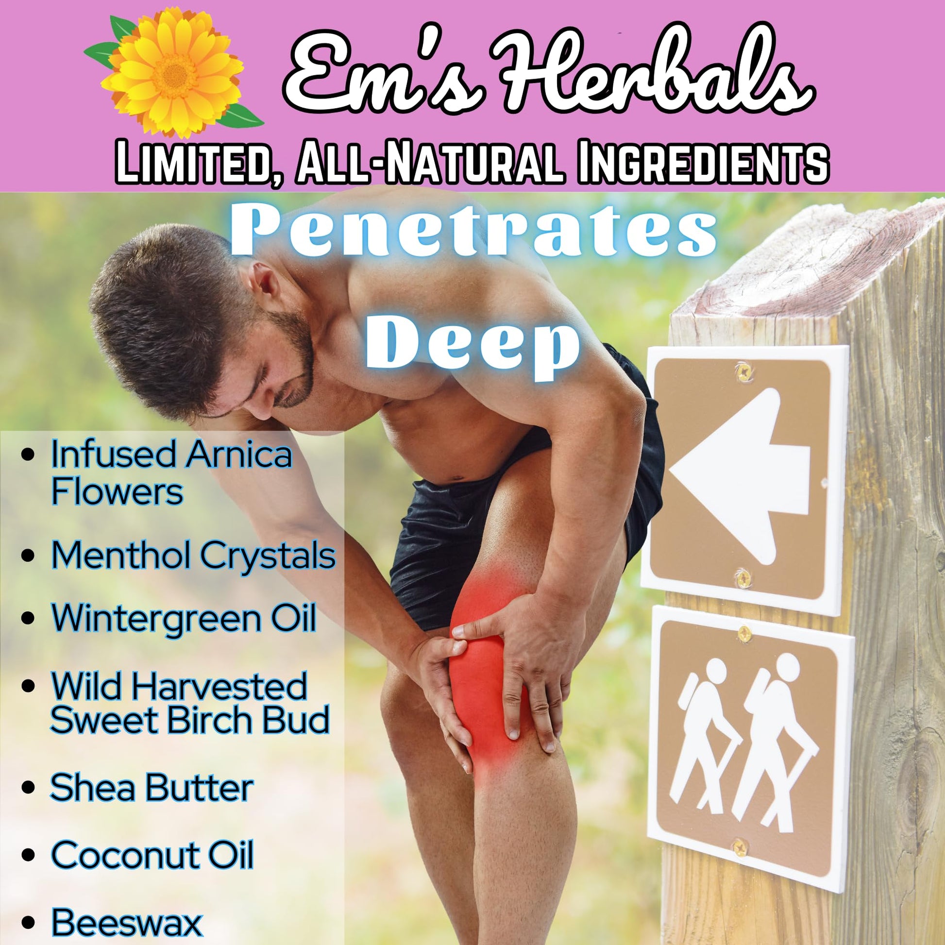 Em's Herbals, Muscle & Joint Care Arnica Salve - Amplified Arnica Salve Made with Menthol Crystals, and Effective Essential Oils to Penetrate Deep into Muscles, Joints, and Back Discomfort (2 oz) - dailyvitalstore