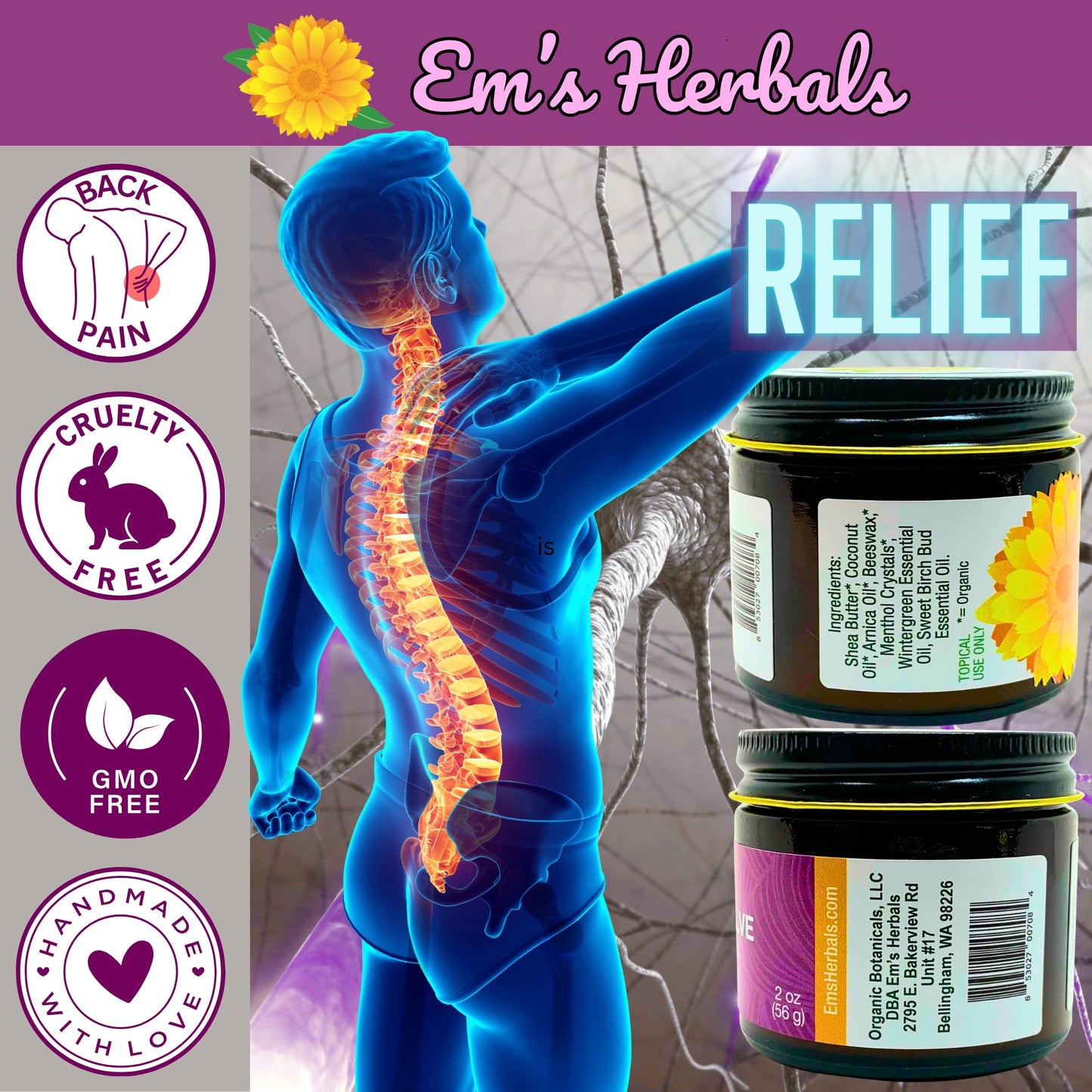 Em's Herbals, Muscle & Joint Care Arnica Salve - Amplified Arnica Salve Made with Menthol Crystals, and Effective Essential Oils to Penetrate Deep into Muscles, Joints, and Back Discomfort (2 oz) - dailyvitalstore