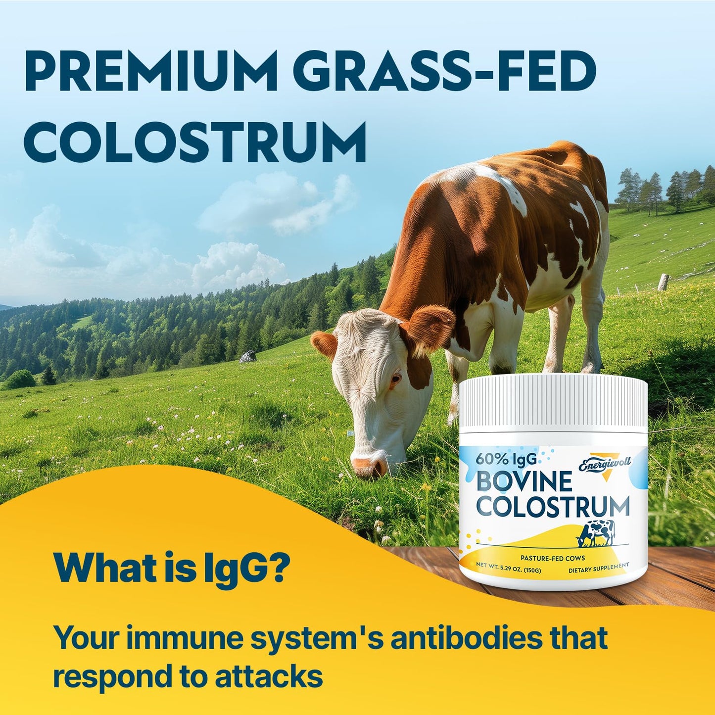 Energievoll Bovine Colostrum Supplement Powder - 60% IgG 3000 mg for Gut, Hair Growth, Beauty, and Immune, Easy to Mix, Unflavored (50 Servings) - dailyvitalstore