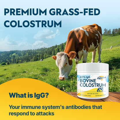 Energievoll Bovine Colostrum Supplement Powder - 60% IgG 3000 mg for Gut, Hair Growth, Beauty, and Immune, Easy to Mix, Unflavored (50 Servings) - dailyvitalstore