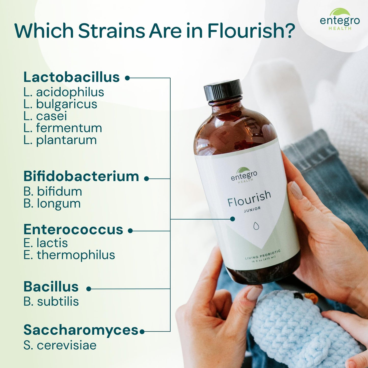 ENTEGRO Flourish Junior Liquid Probiotic & Postbiotic Supplement - Glass | 11 Live Cultures | Gut & Digestive Health for Women, Men & Kids | Organic, Vegan, Allergen Free | USA Made | 16 fl oz - dailyvitalstore