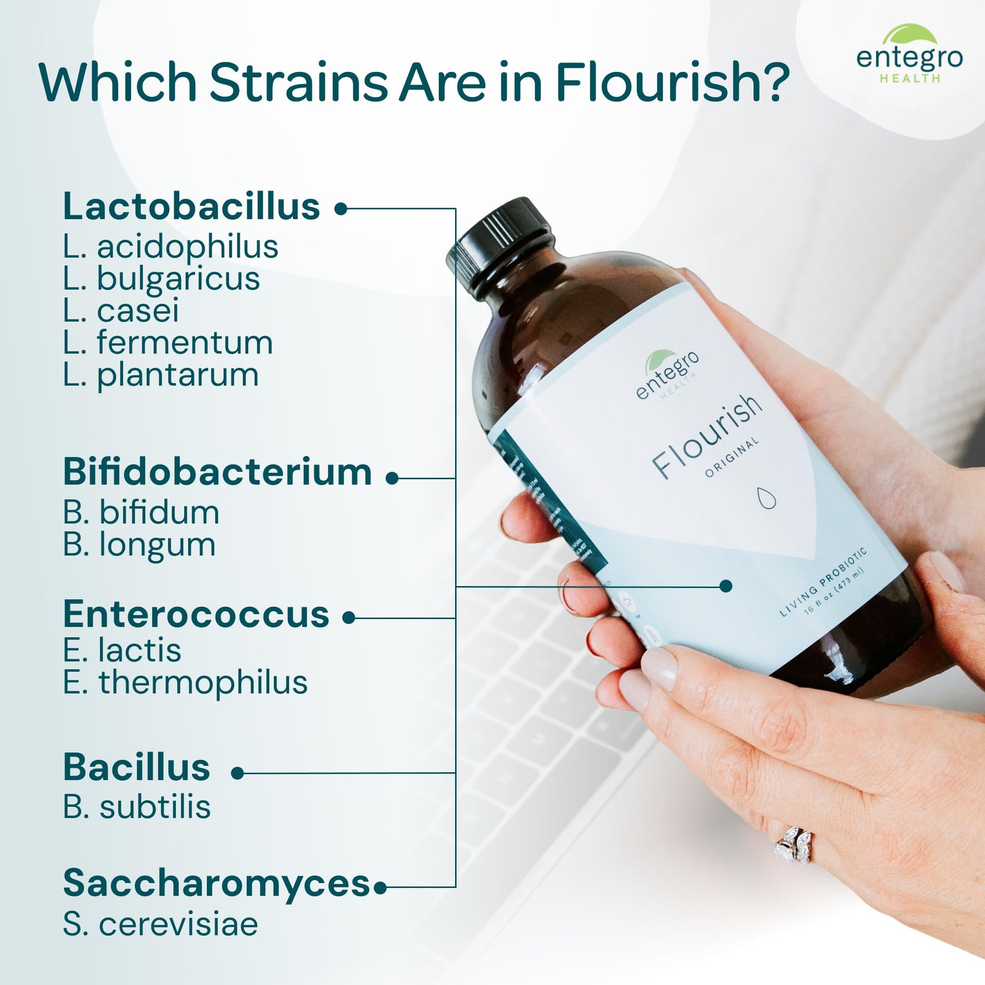 ENTEGRO Flourish Original Liquid Probiotic & Postbiotic Supplement - Glass | 11 Live Cultures | Gut & Digestive Health for Women, Men & Kids | Organic, Vegan - dailyvitalstore
