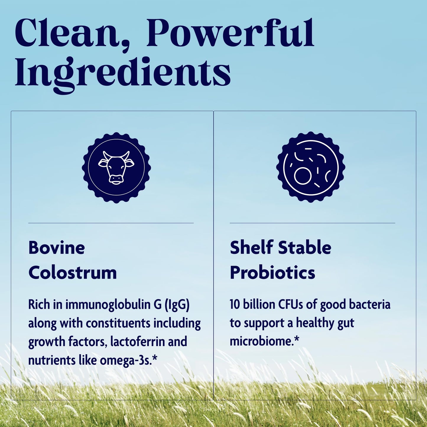 Enzymedica Colostrum + Probiotics Powder Supplement - Grass Fed Bovine Colostrum for Women & Men, Peptide & Lactoferrin Support, Promotes Hair, Skin, Nails, Immune & Gut Health, Gluten Free - 3.25 oz - dailyvitalstore