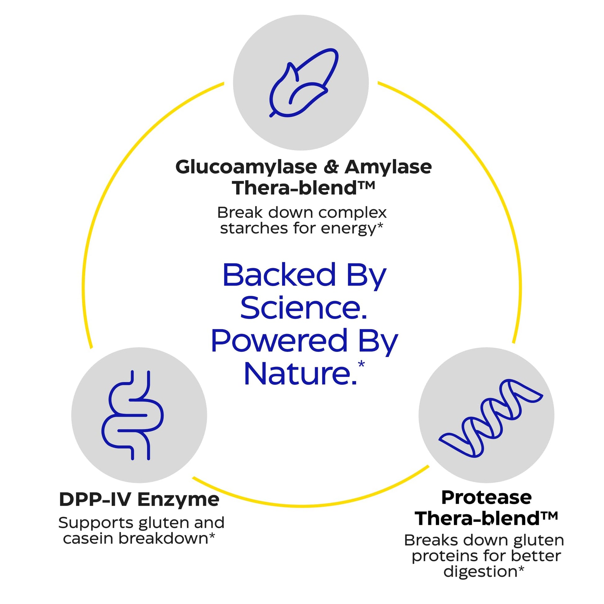 Enzymedica GlutenEase - Digestive Enzyme Supplement for Women & Men, Gluten & Casein Sensitivity Support, Enzymes for Digestion & Gut Health - dailyvitalstore