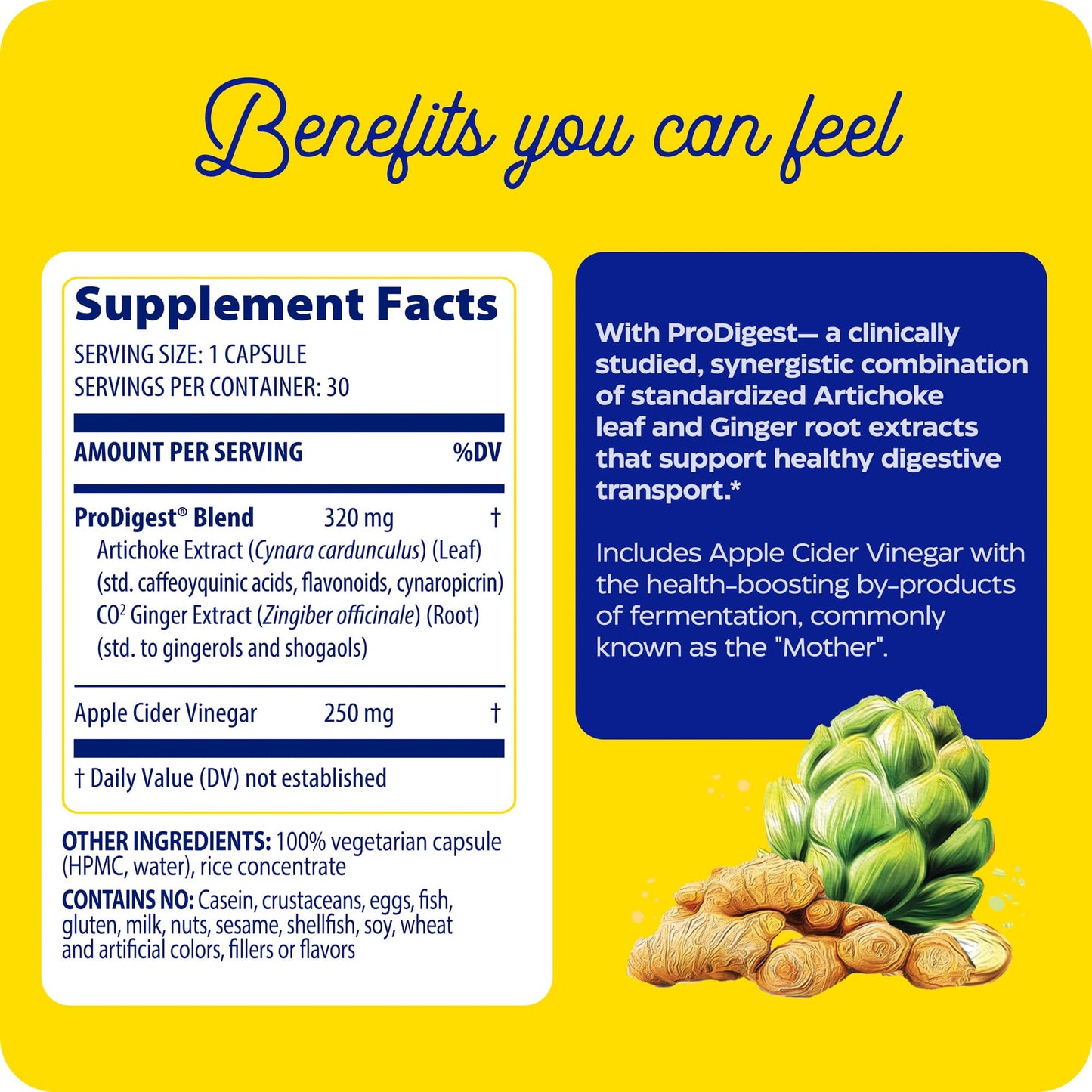 Enzymedica Gut Motility Supplement for Men & Women - Apple Cider Vinegar Capsules with Artichoke & Ginger Extract, Digestive Health Support for Adults - dailyvitalstore