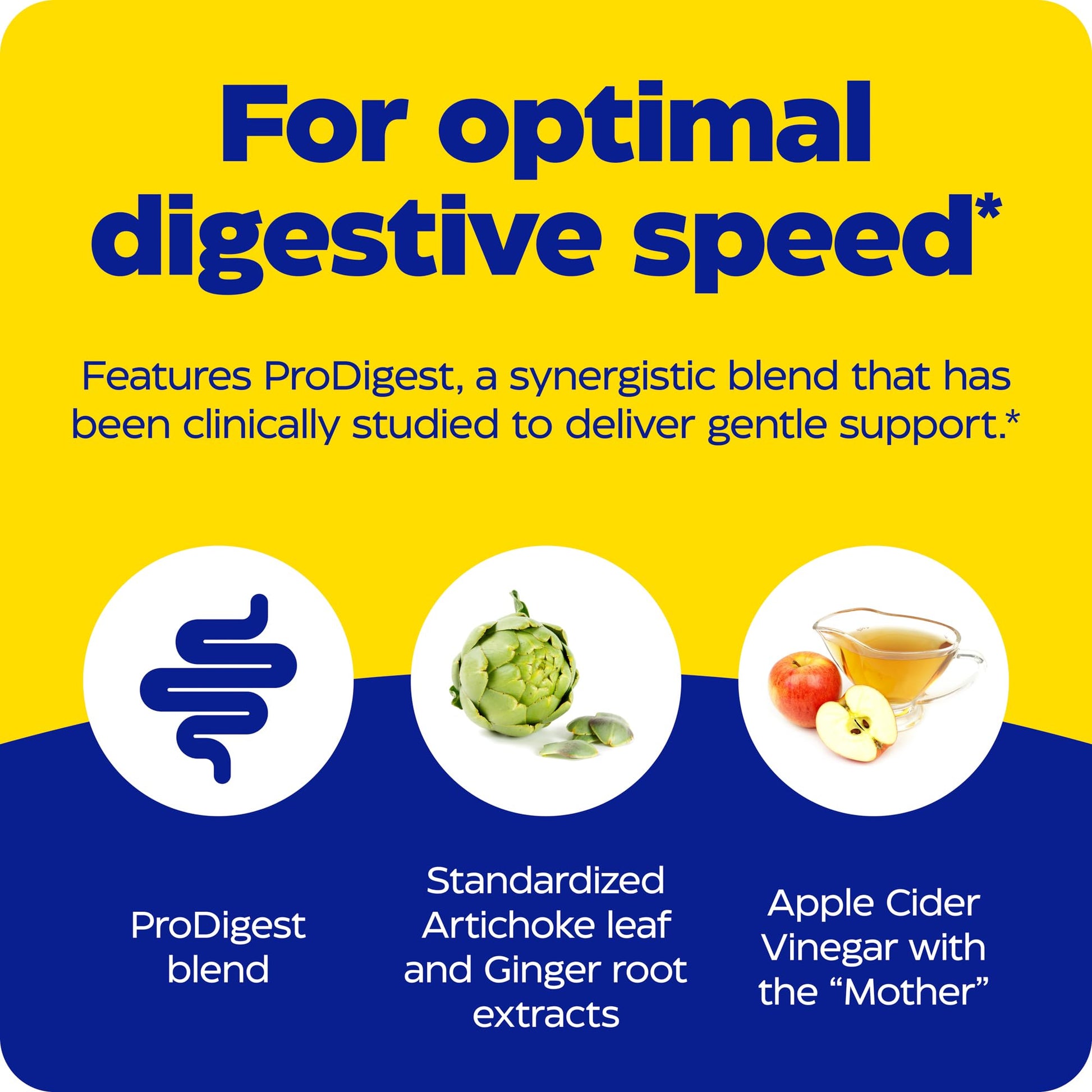 Enzymedica Gut Motility Supplement for Men & Women - Apple Cider Vinegar Capsules with Artichoke & Ginger Extract, Digestive Health Support for Adults - dailyvitalstore