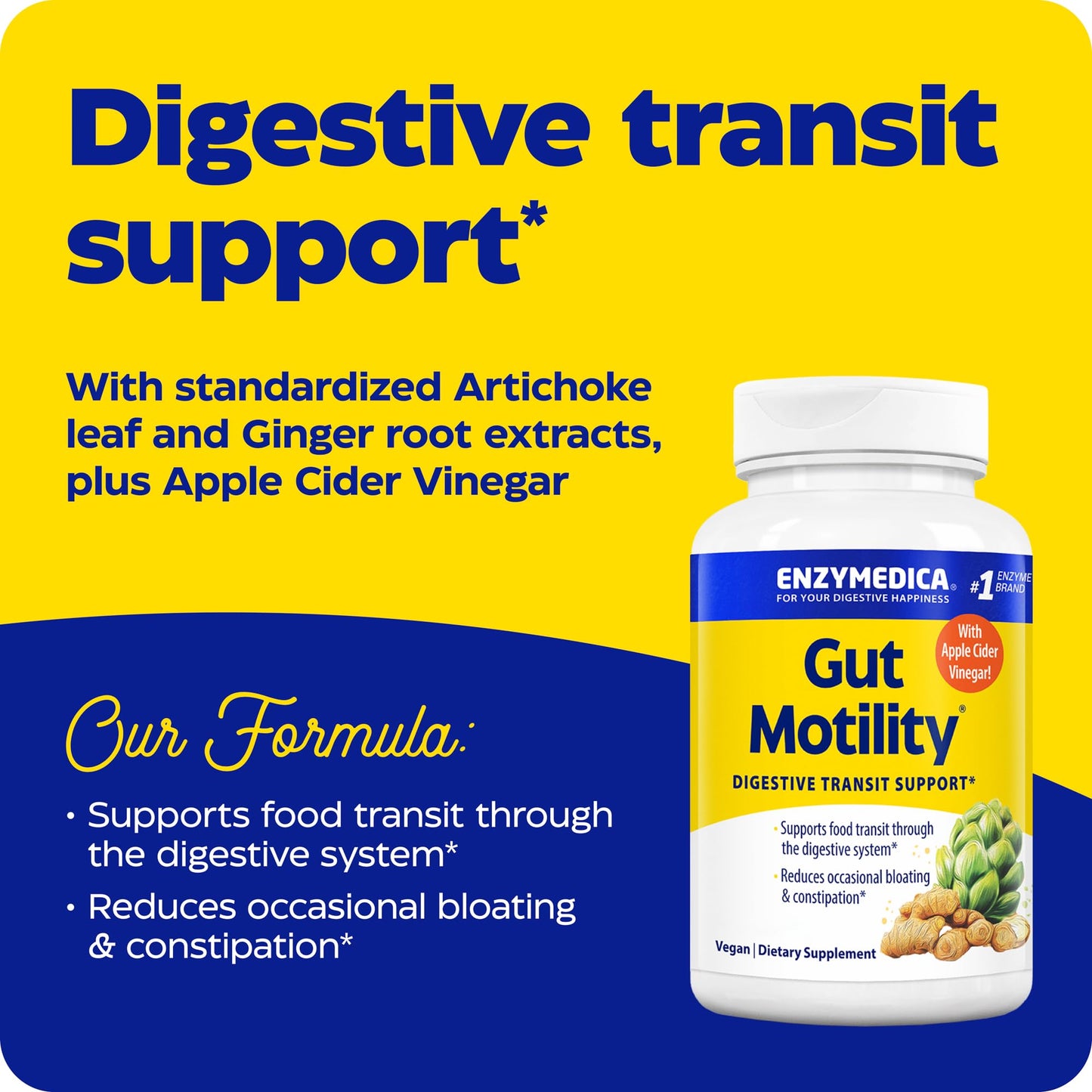 Enzymedica Gut Motility Supplement for Men & Women - Apple Cider Vinegar Capsules with Artichoke & Ginger Extract, Digestive Health Support for Adults - dailyvitalstore