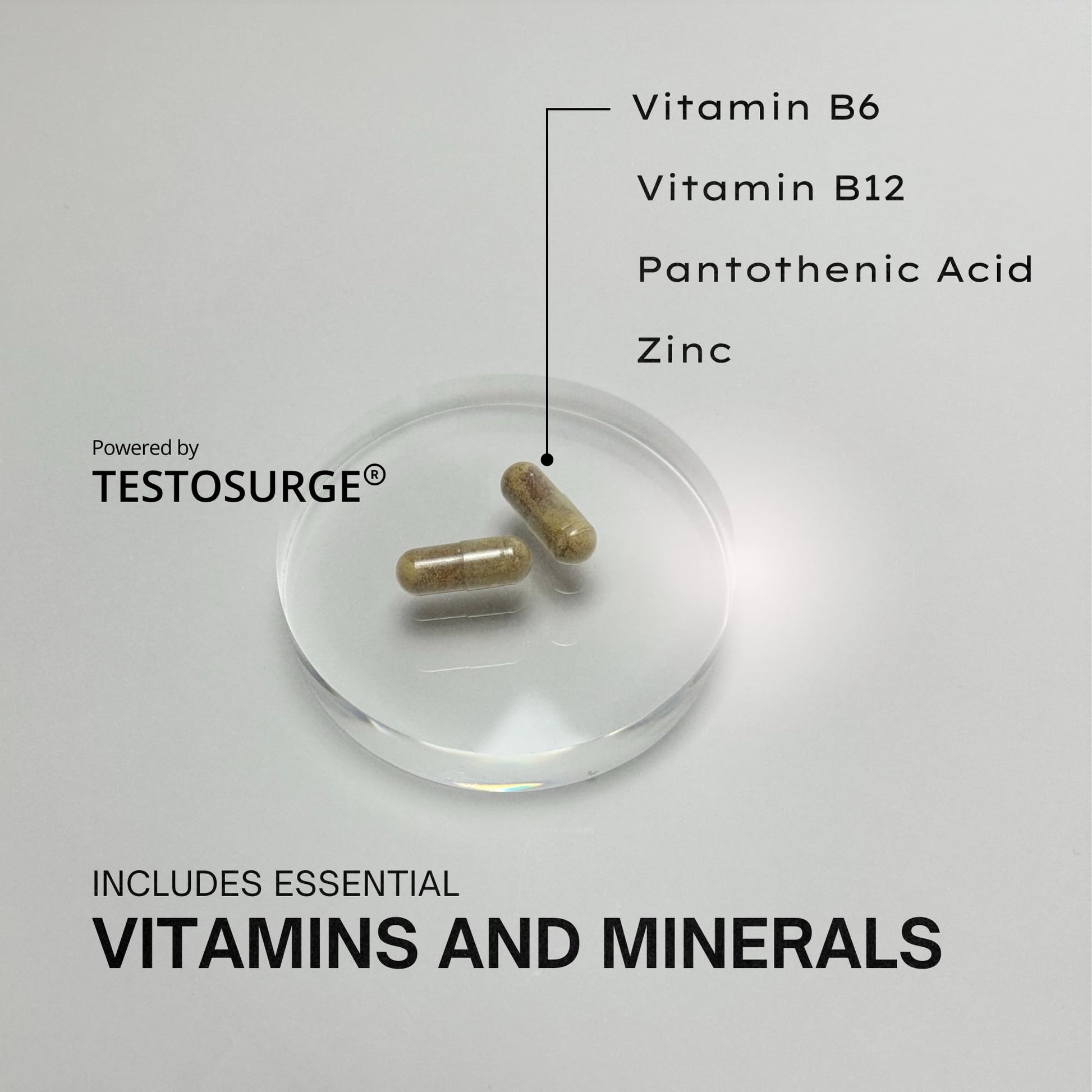 EPIC-T Testosterone Support Supplement for Men | Plant-Based Formula with Testosurge, B-Complex, B12, Zinc & Boron | Vegan, Non-GMO Daily Support - dailyvitalstore