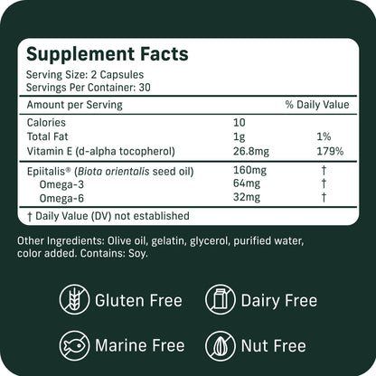 EPIJOINT Joint Support – Supports Mobility & Osteoarthritis – May Help Reduce Inflammation with Patented Epiitalis – 60 Capsules - dailyvitalstore