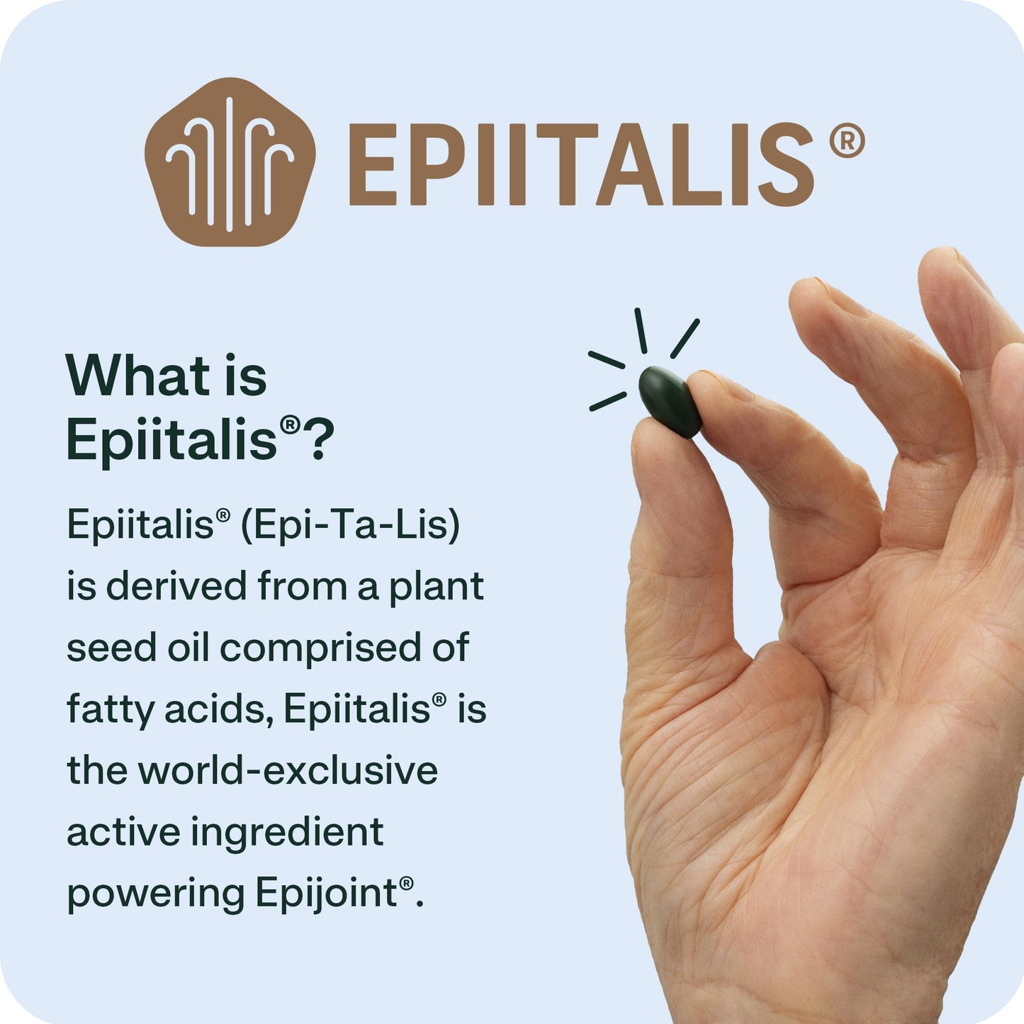 EPIJOINT Joint Support – Supports Mobility & Osteoarthritis – May Help Reduce Inflammation with Patented Epiitalis – 60 Capsules - dailyvitalstore