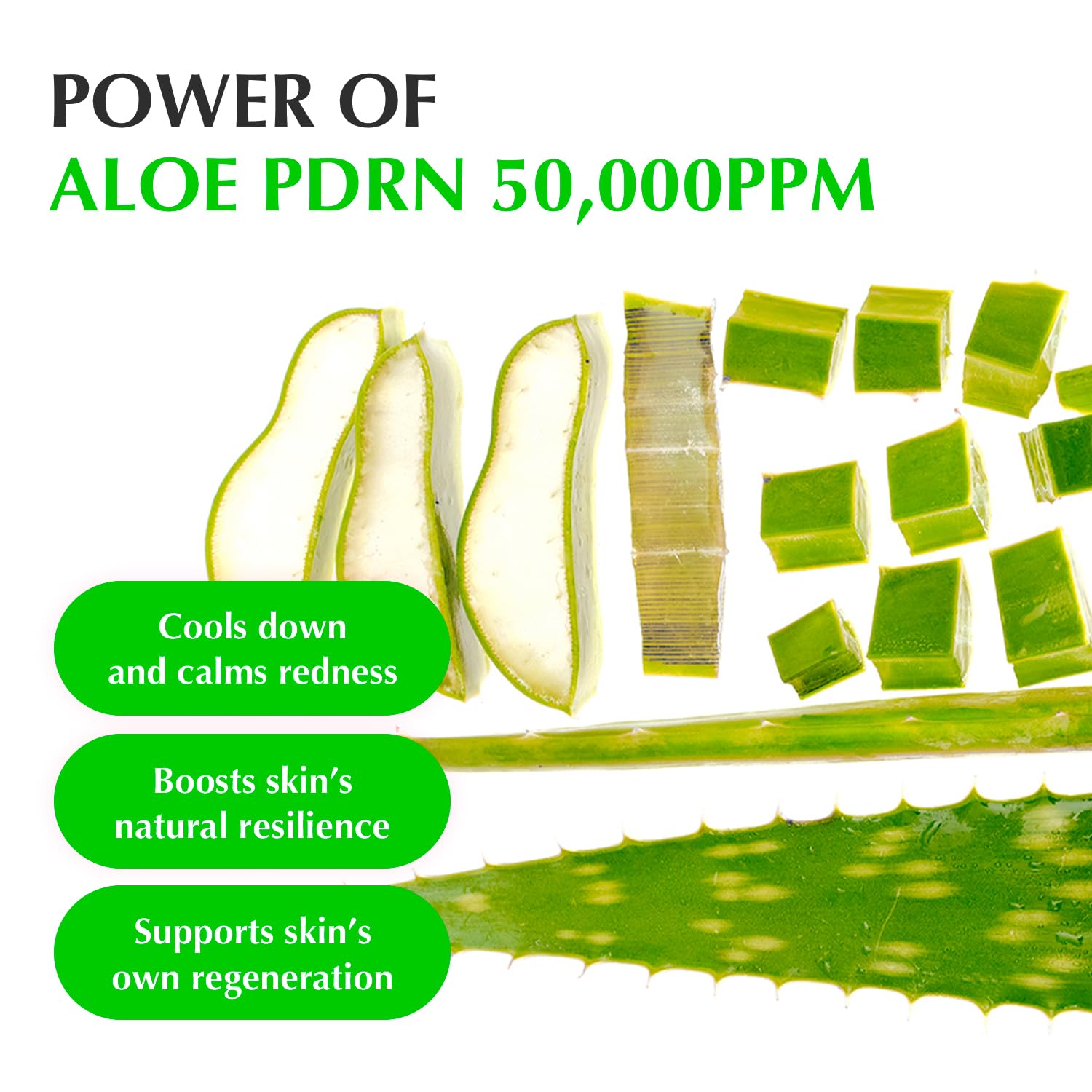 EQQUALBERRY Aloe PDRN Calming Smoothie Serum – Soothing Korean Skin Care for Sensitive Skin, Cica & Aloe for Repair, Hydrating & Radiant Glow - dailyvitalstore