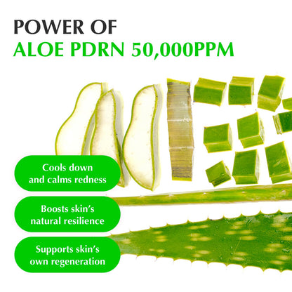 EQQUALBERRY Aloe PDRN Calming Smoothie Serum – Soothing Korean Skin Care for Sensitive Skin, Cica & Aloe for Repair, Hydrating & Radiant Glow - dailyvitalstore
