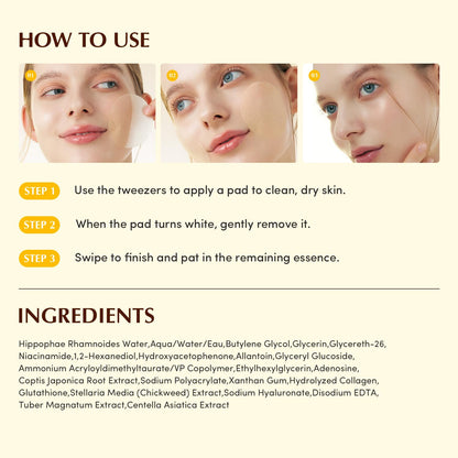 EQQUALBERRY Collagen Glow Up Gel Toner Pads – Brightening Korean Jelly Pad with Deep Absorption Collagen, Hydrating & Glow-Boosting Formula, - dailyvitalstore