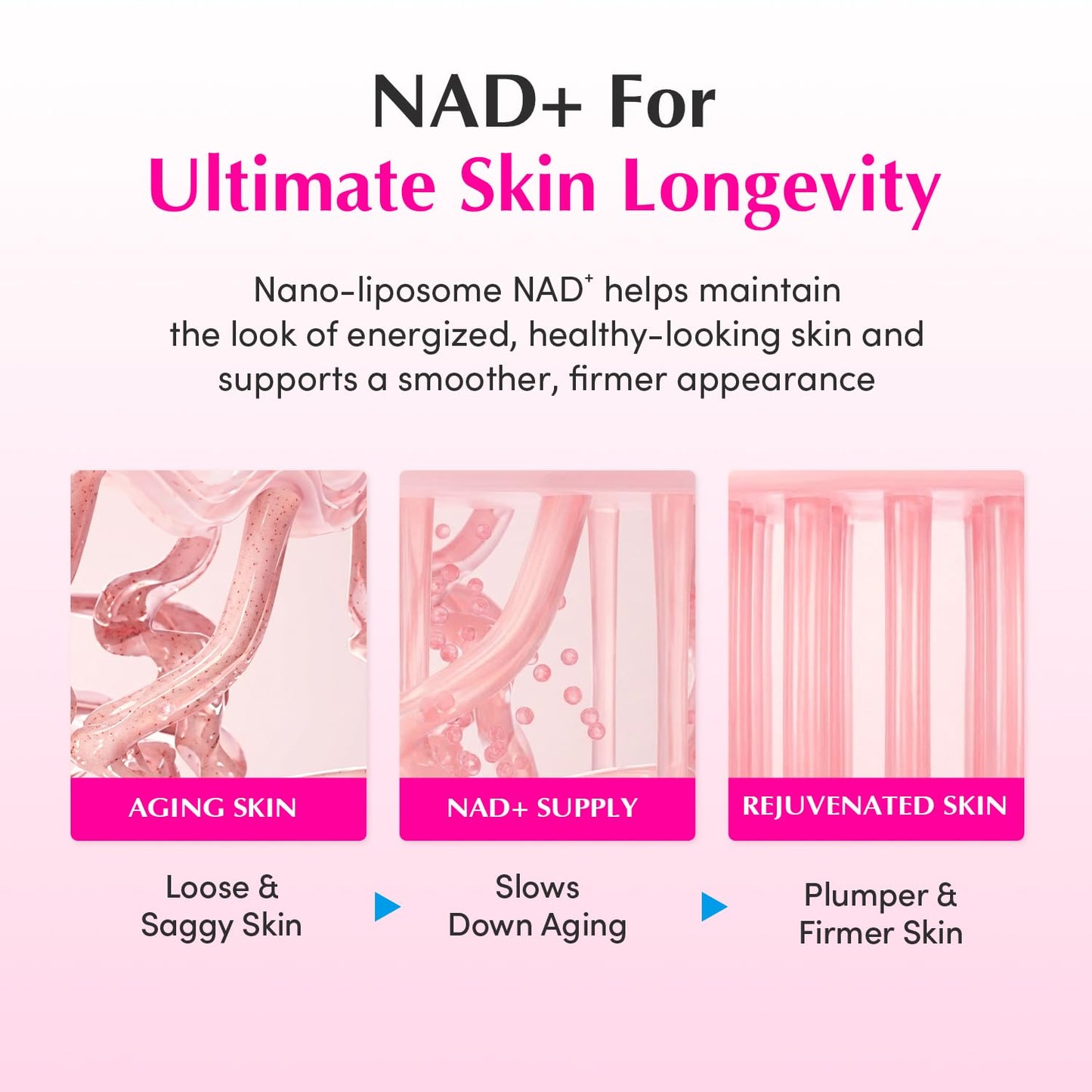 EQQUALBERRY NAD+ Peptide Boosting Cream Double Pack | NAD+ 5% & 13 Peptides Anti-Aging Korean Skincare Face & Body Cream | Firming & Lifting Pink Neck Cream - dailyvitalstore