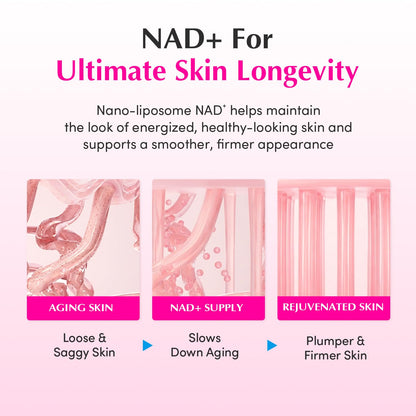 EQQUALBERRY NAD+ Peptide Boosting Cream Double Pack | NAD+ 5% & 13 Peptides Anti-Aging Korean Skincare Face & Body Cream | Firming & Lifting Pink Neck Cream - dailyvitalstore