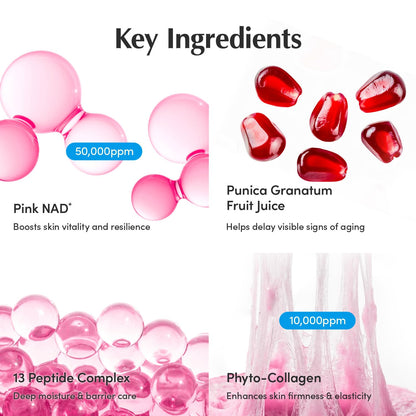 EQQUALBERRY NAD+ Peptide Boosting Cream Double Pack | NAD+ 5% & 13 Peptides Anti-Aging Korean Skincare Face & Body Cream | Firming & Lifting Pink Neck Cream - dailyvitalstore