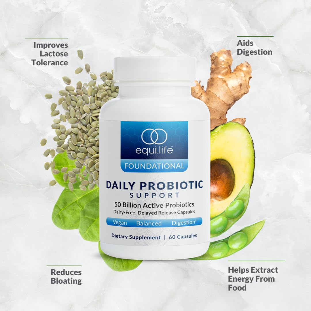 Equilife Daily Probiotic Support, 50 Billion CFU, 8 Probiotic Strains, Digestive and Gut Health Supplement for Men and Women, Gluten Free, Soy and Dairy Free - dailyvitalstore